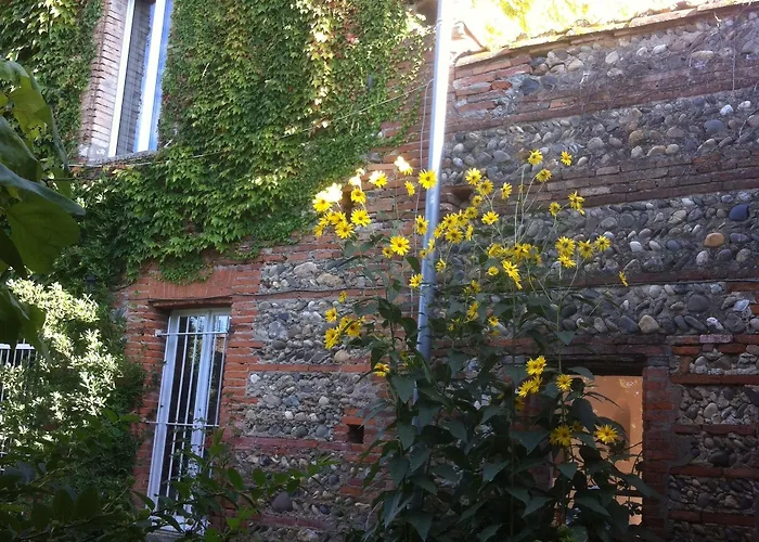 Bed and Breakfast Gentil'home - Toulouse Prestige Fenouillet (Haute-Garonne)